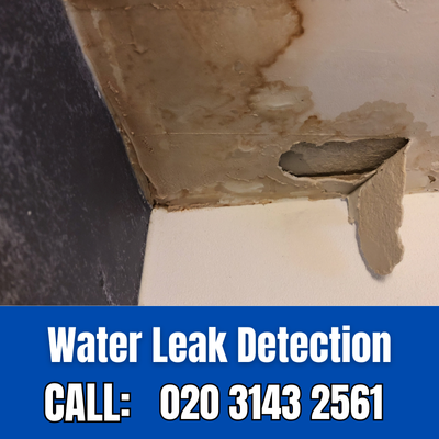 Expert Water Leak Detection Services in Teddington | Teddington Leak Detection